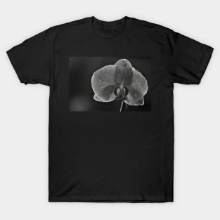 Orchid T-Shirt